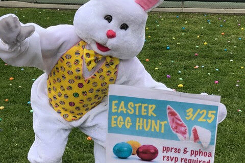 Easter Bunny